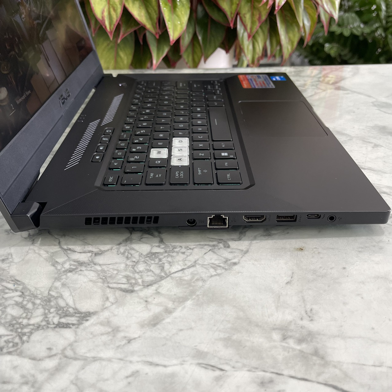 Gaming - Đồ Họa ASUS TUF Dash F15 FX516PC-HN558W Core I5-11300H Ram 24gb Ssd 512gb Vga RTX 3050 (4GB) Màn 15.6 Inch IPS 144Hz